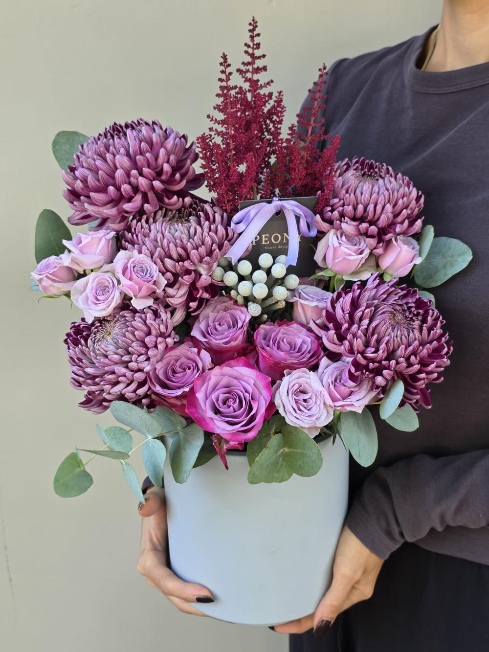 Royal Plum Dream